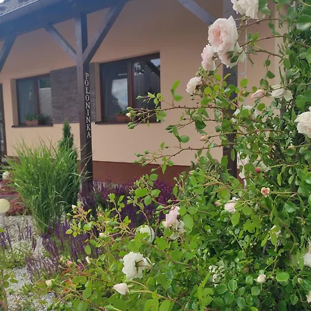 Apartment Poloninka