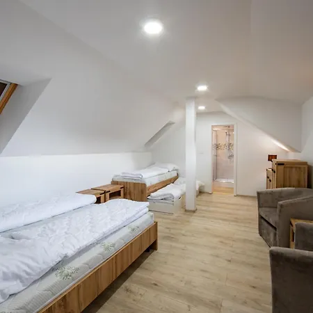 Poloninka Apartment