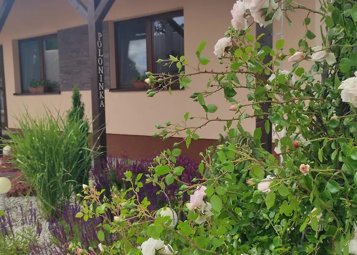Apartament Poloninka