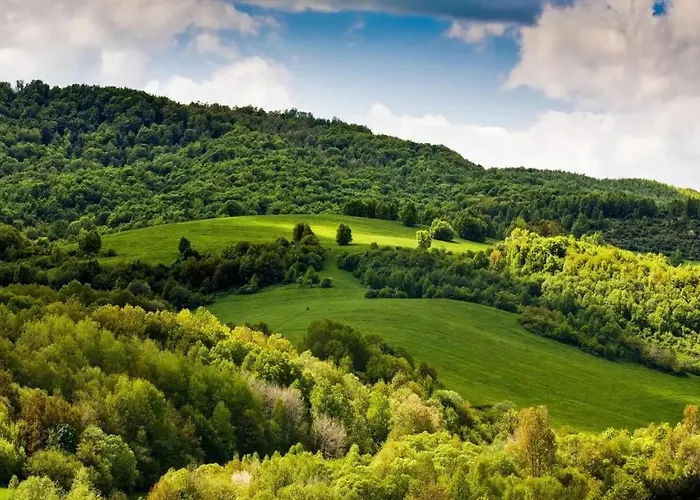 Poloninka Apartament